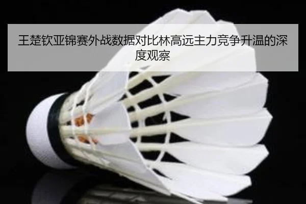 王楚钦亚锦赛外战数据对比林高远主力竞争升温的深度观察